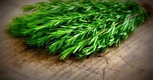Raw Material Monday: Rosemary Essential Oil