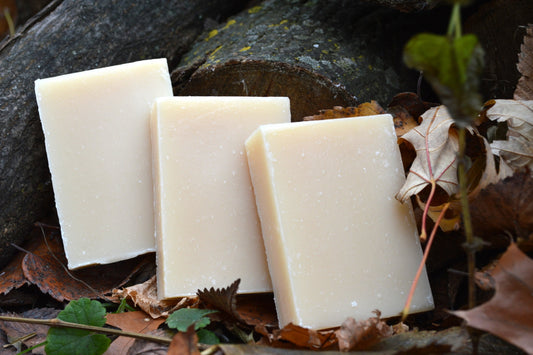 Tea Tree and Eucalyptus Soap