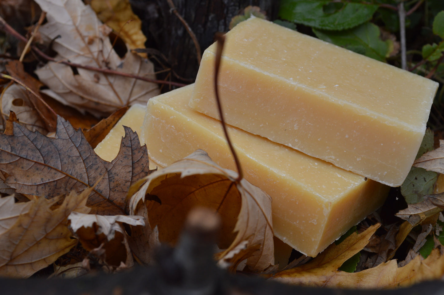 Clove and Orange Soap
